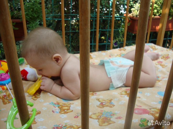 Ясли Капитошка