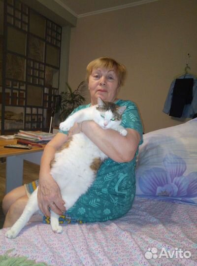 Передержка для домашних животных