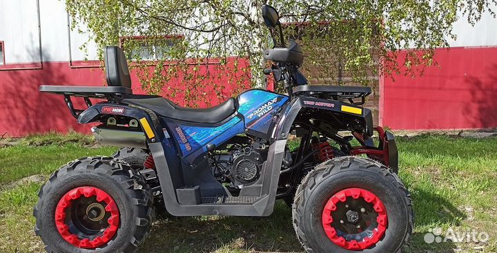 Квадроцикл promax wild 300 LUX 
