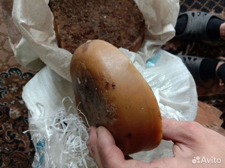 Прополис пчелиный