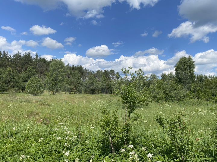 Участок 40 сот. (СНТ, ДНП)