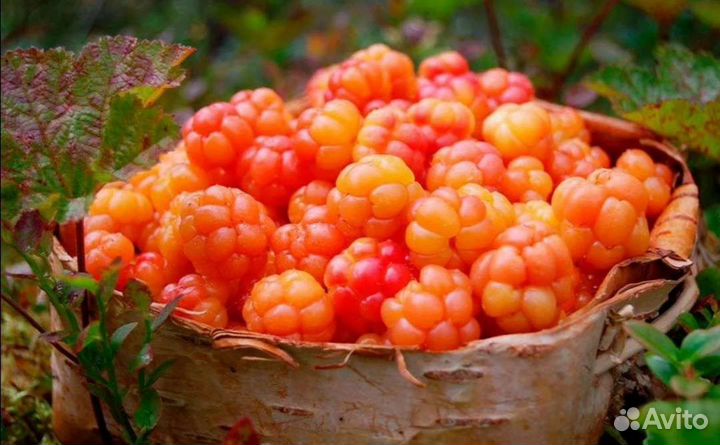 Морошка варенье 0,7л