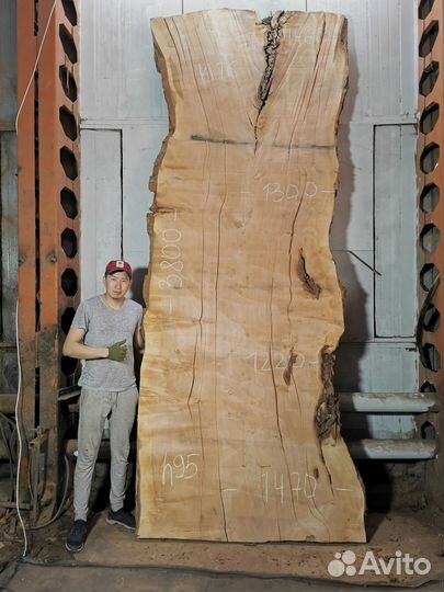 Слэб дерева