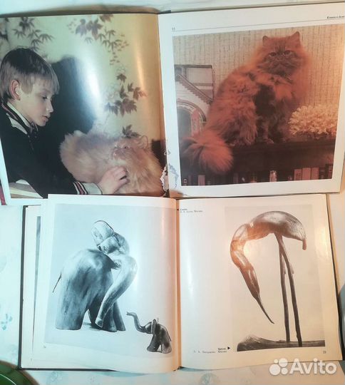 Книга - Фотоальбом СССР, Кошки, Природа, Эрмитаж