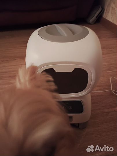 Автокормушка для кошек и собак