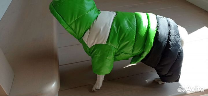 Зимний комбинезон для маленькой собачки