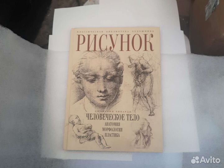 Джованни Чиварди «Человеческое тело