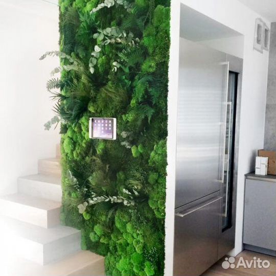 Фитомодуль из стабилизированных растений