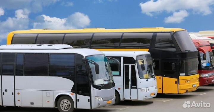 Автошкола. Переподготовка с категории B на D