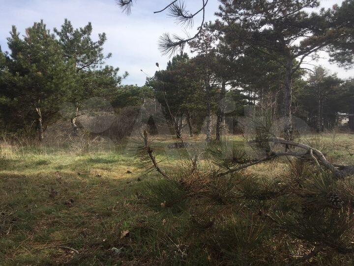 Участок 4 сот. (ИЖС)