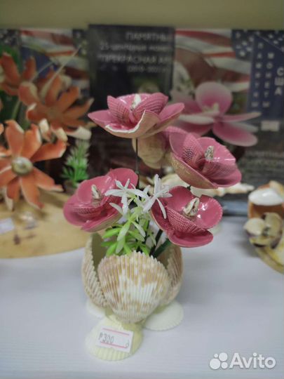 Сувениры из ракушек