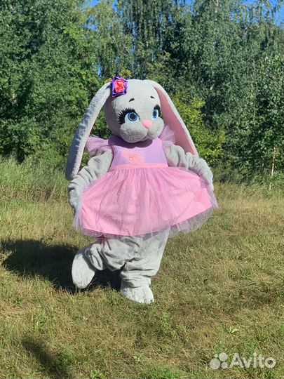 Поздравление от Зайки