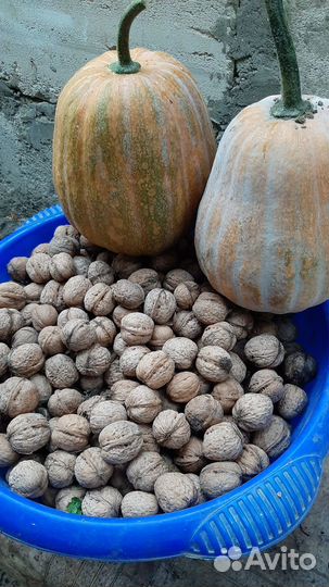 Грецкий орех