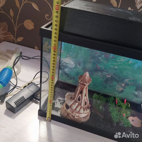 Аквариум