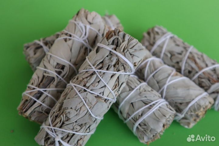 Шалфей Белый от 150шт опт для Озон