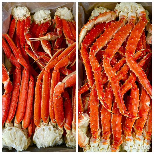 Краб Камчатский Парной Свежий Вкусный