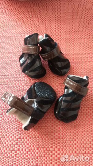 Ботинки для маленькой собаки