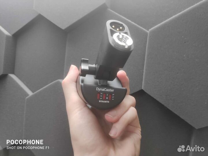 SE Electronics Dunacaster Студийный микрофон