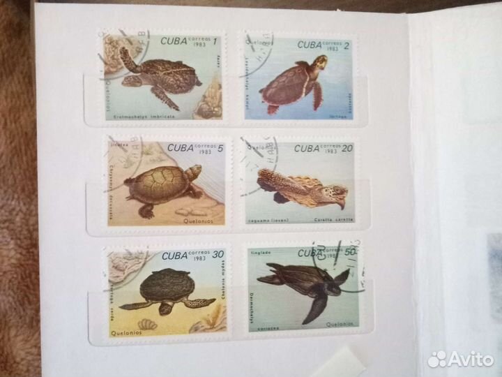 Альбом марок животных