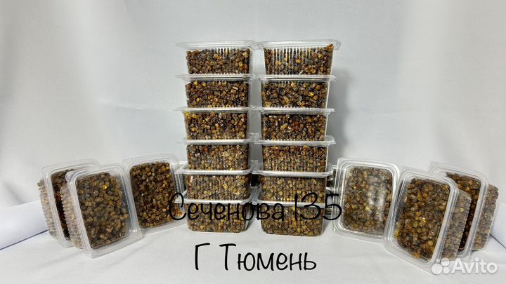 Перга пчелиная