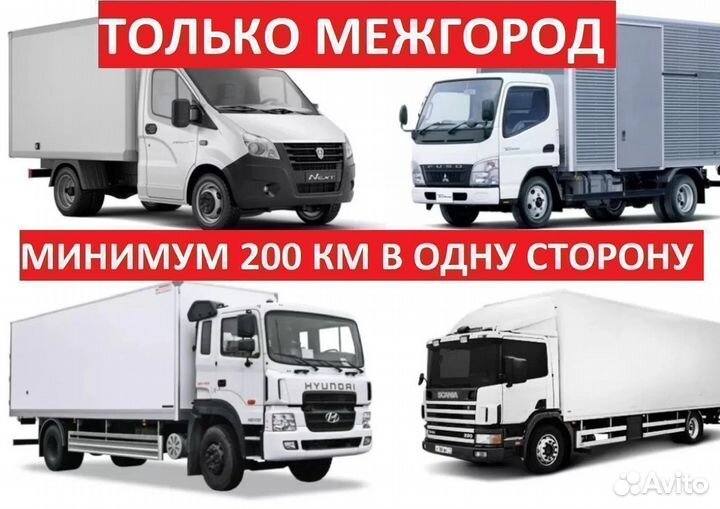 Доставка груза межгород от 300 км. Газель, фура