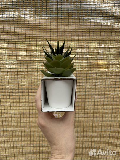 Искусственные растения икеа