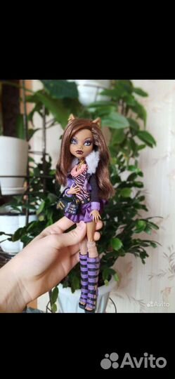 Клодин Вульф базовая