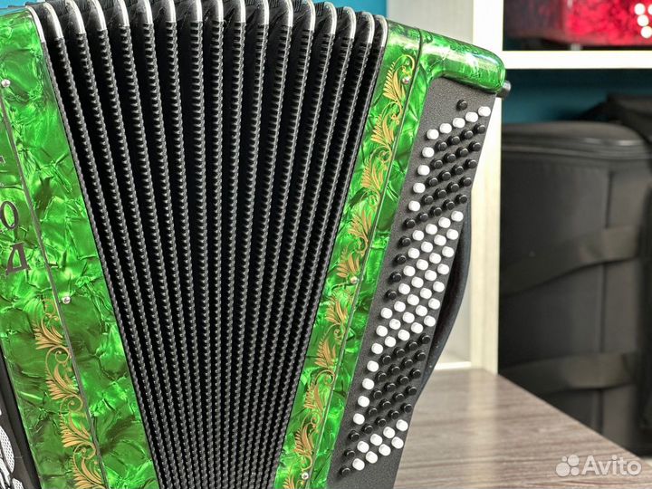 Баян «Этюд 205м» 55/100 / купить баян