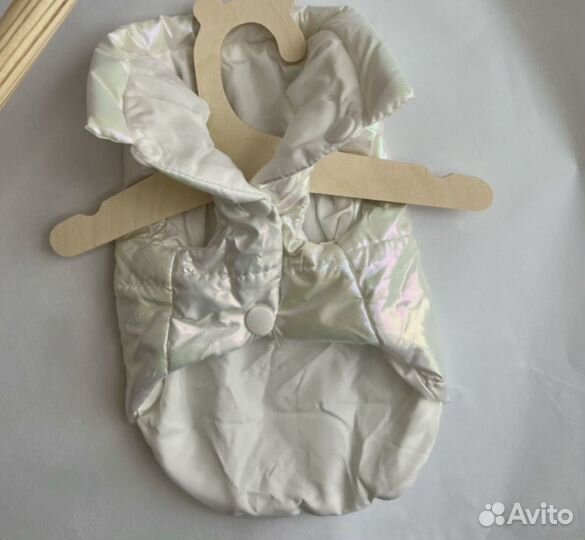 Одежда для собак мелких пород