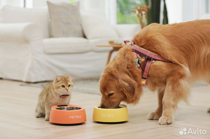 Миска-весы Petbiz Smart Bowl Wi-Fi (Orange)