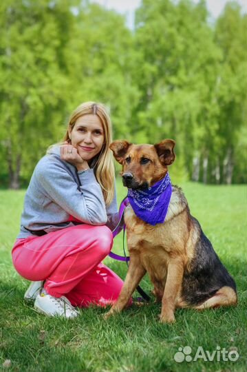 Собака -праздник Забава из приюта Некрасовка