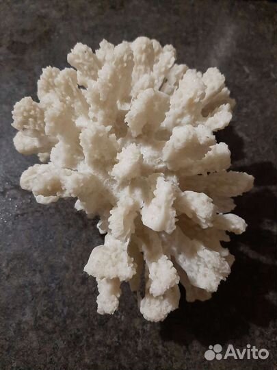 Коралл для интерьера искусственный