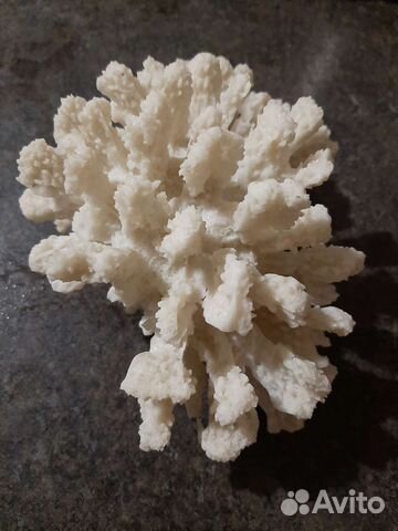 Коралл для интерьера искусственный