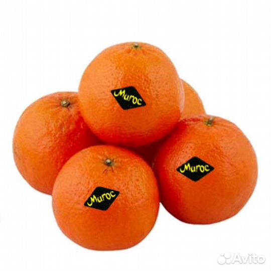 Мандарин Марокко