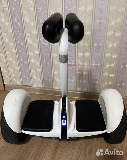 Segway-Ninebot mini S