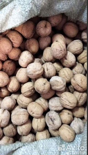 Грецкий орех