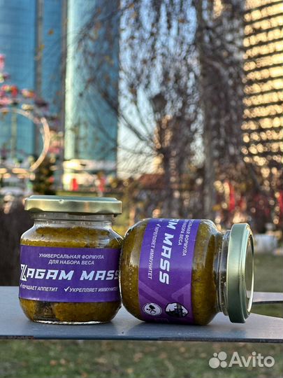 Смесь для набора веса zagam mass
