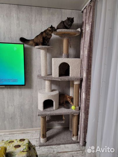 Домик для кошки с когтеточкой