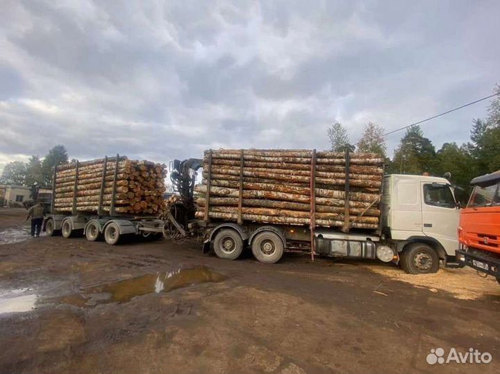 Дрова с доставкой