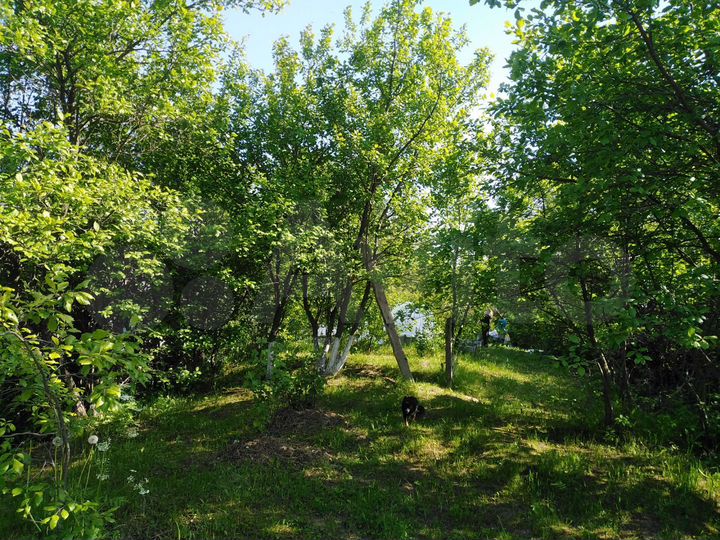 Участок 9 сот. (СНТ, ДНП)