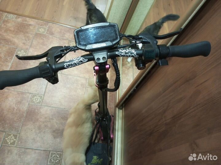 Самокат взрослый Kugoo Kirin G2 Pro