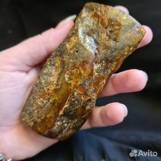 Янтарь торфяной, большой кусок