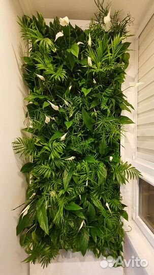 Фитостены для живых растений с автополивом