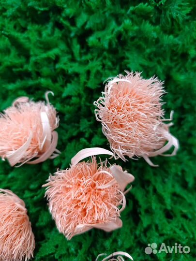 Стабилизированные цветы