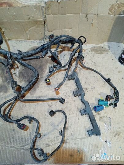 Проводка подкапотная Ford Focus 3