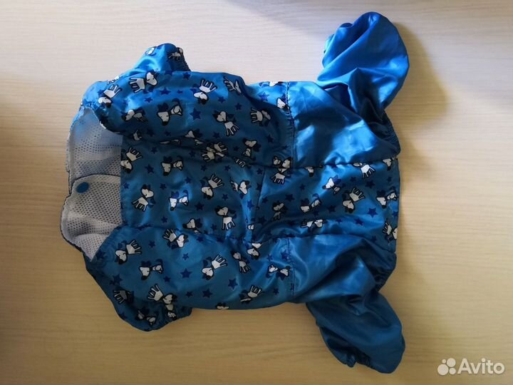 Одежда и обувь для животных