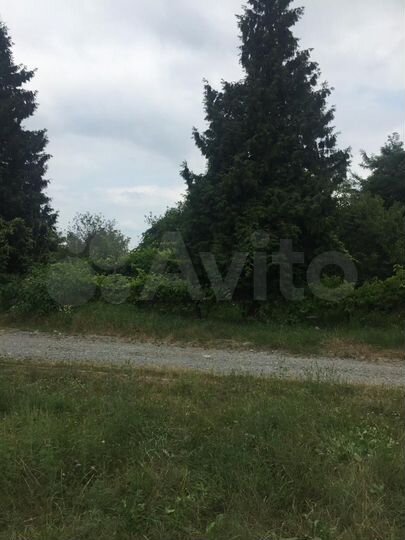 Общепит, 300 м²