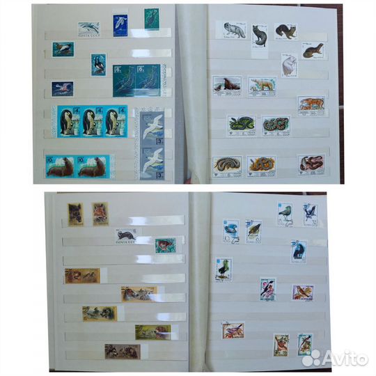 Альбом с марками СССР