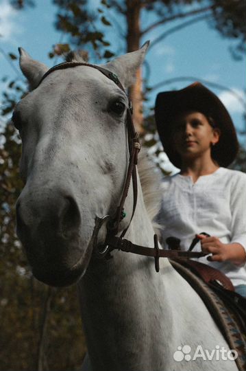 Продам кобылу
