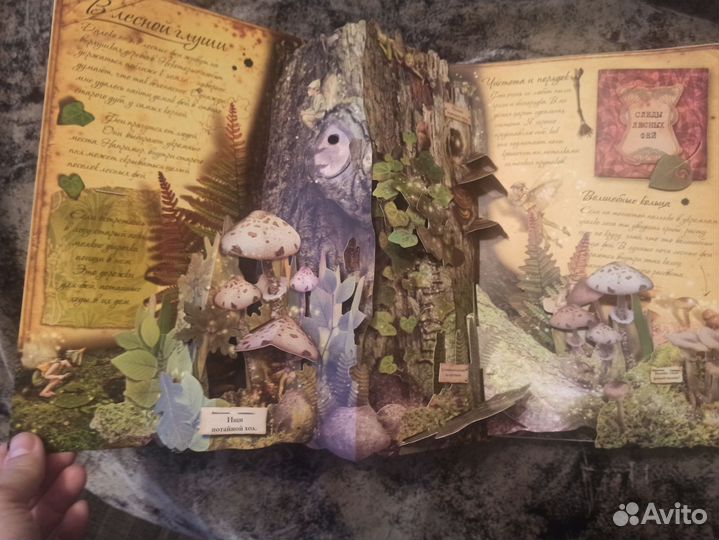 Королевство фей книга
